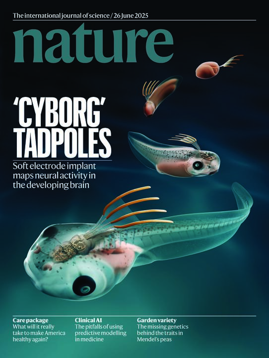 Cover 2025 Nature